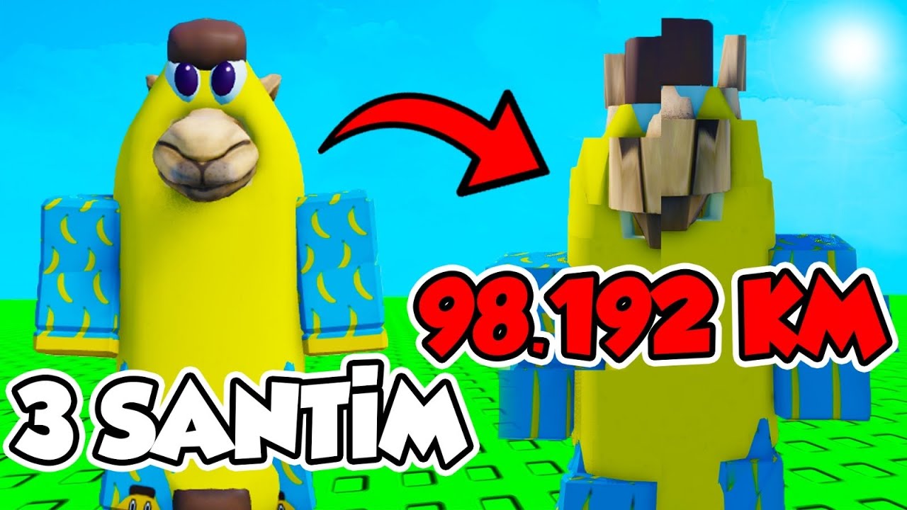 ROBLOXUN SONUNA GİDERSEK NOLUR?