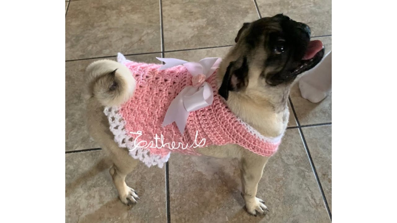 How to crochet a dog sweater  easy and fast step by step DIY