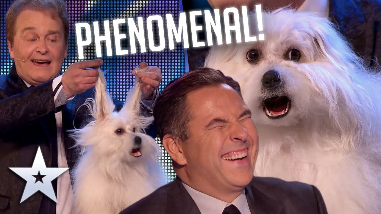 О боже, это же ГОВОРЯЩАЯ СОБАКА! Прослушивание 9-го сезона BGT