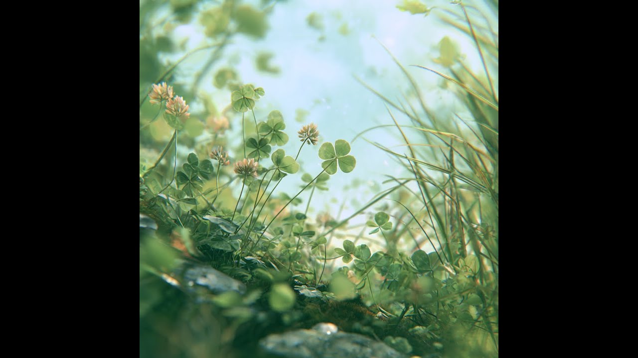세잎 행복