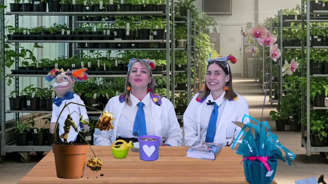 Oortref in Sy trap vir Peuters - Episode 7: Lees jou Bybel, Bid elke dag