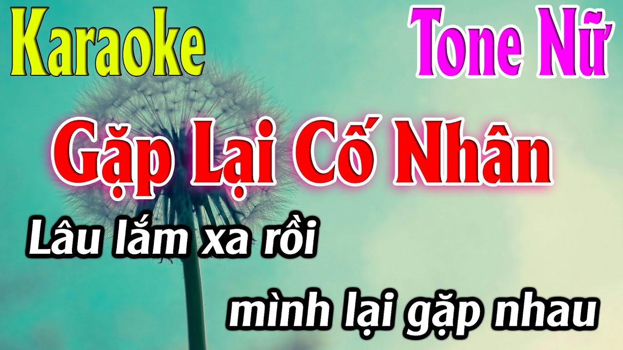 Gặp Lại Cố Nhân Karaoke Tone Nữ ( Fm ) Beat Hay | Karaoke Lâm Organ