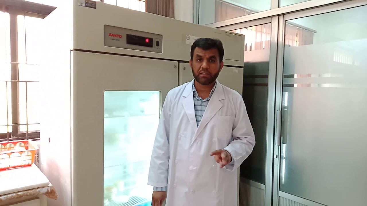 Isolation of Bacteria from Soil;  Part 4