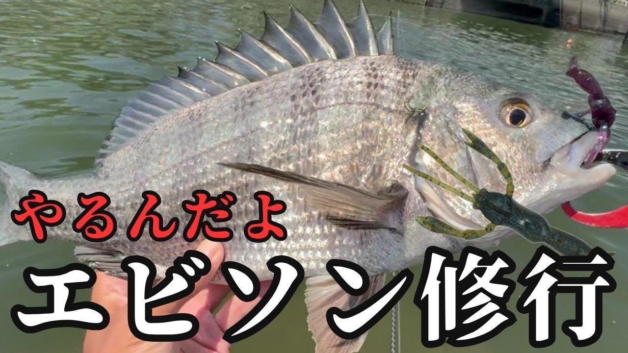 【チニング】ゼロチヌ　season4　こいつをは釣れると思ったからエビソン修行part1