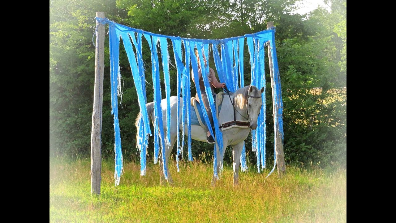 La Méthode Equine Impériale