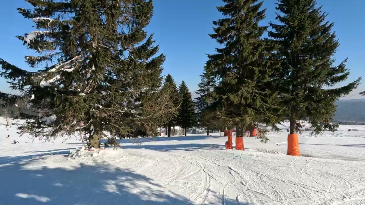 ZIELENIEC 2025 WINTERPOL 3  POMARAŃCZOWA