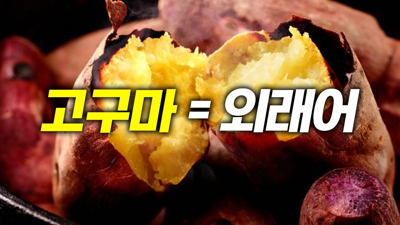 뭐?