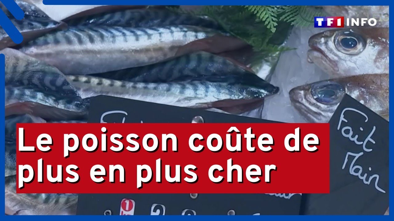 Le poisson coûte de plus en plus cher