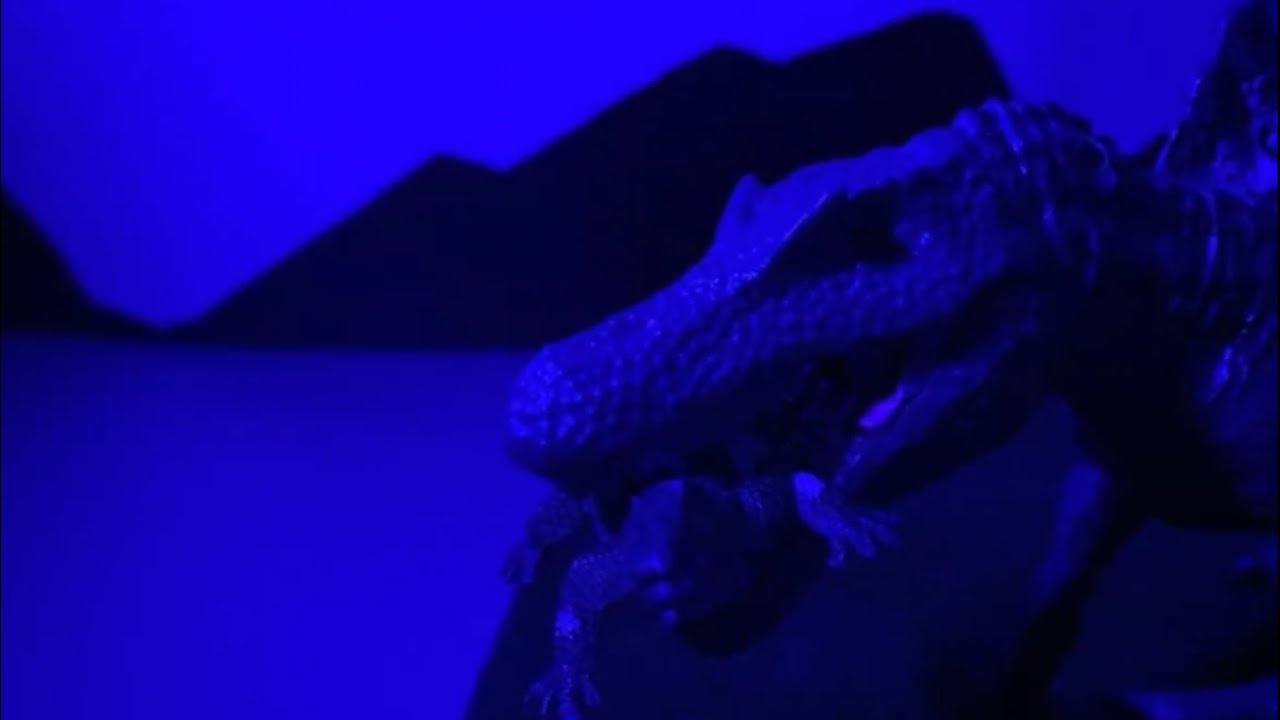 Dinosaurs escape their paddocks 🦖| #stopmotion #dinosaurs #jurrasicworlddominion #jurrasic 