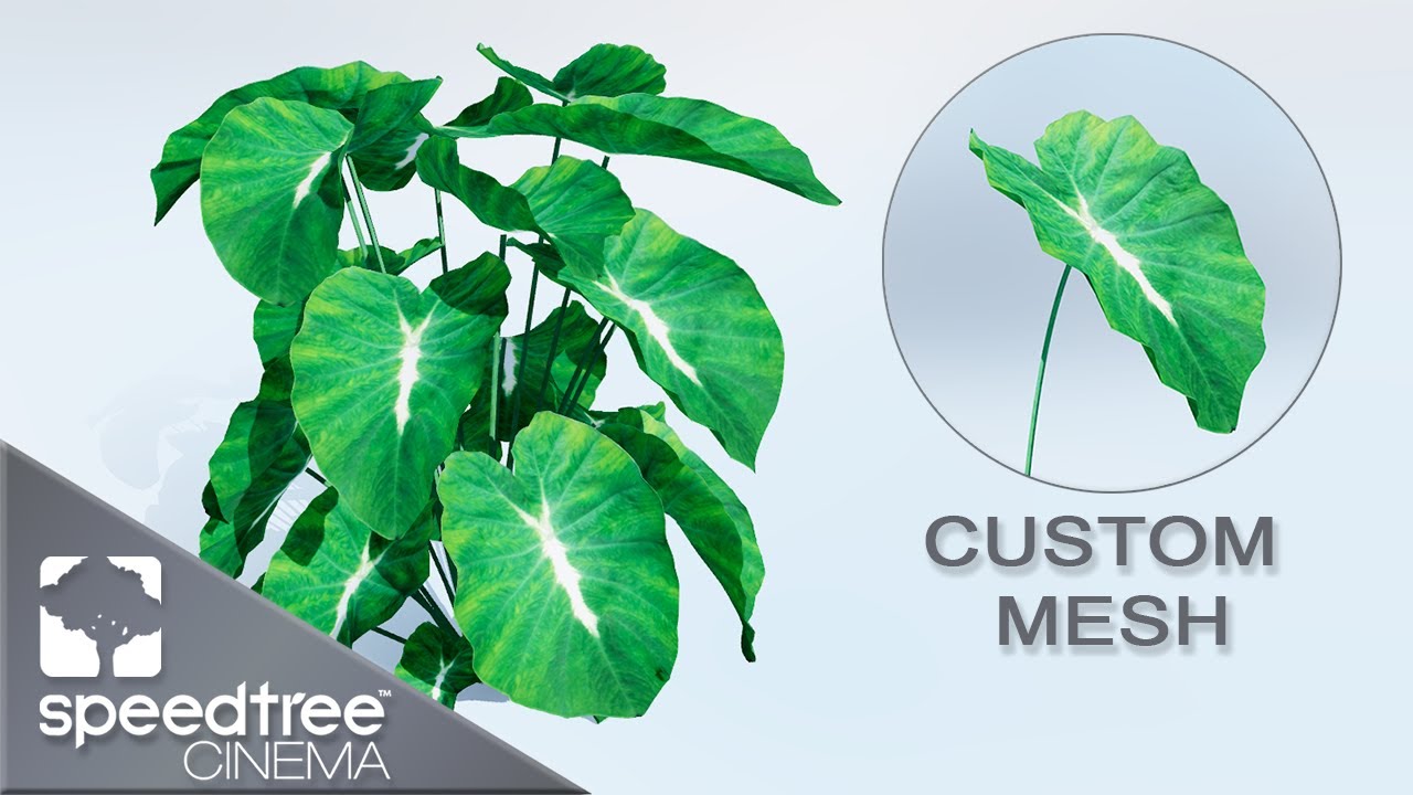 Custom Leaf Mesh P1 | Speedtree Cinema 9