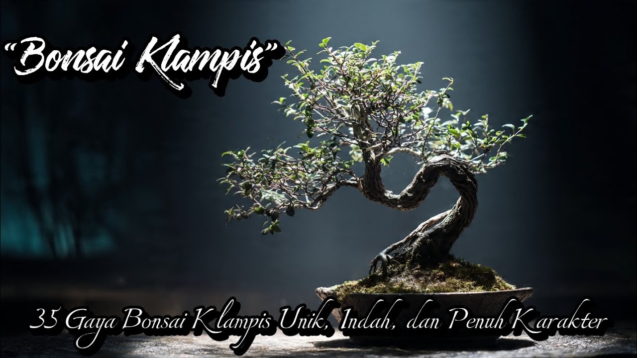 35 Gaya Bonsai Klampis yang Unik, Indah, dan Penuh Karakter | Serissa foetida