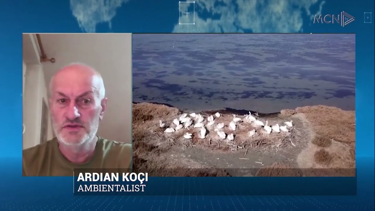 “Kam pasur presion nga ministrja Kumbaro” / Koçi: Edhe specialistë të tjerë, në të njëjtën situatë