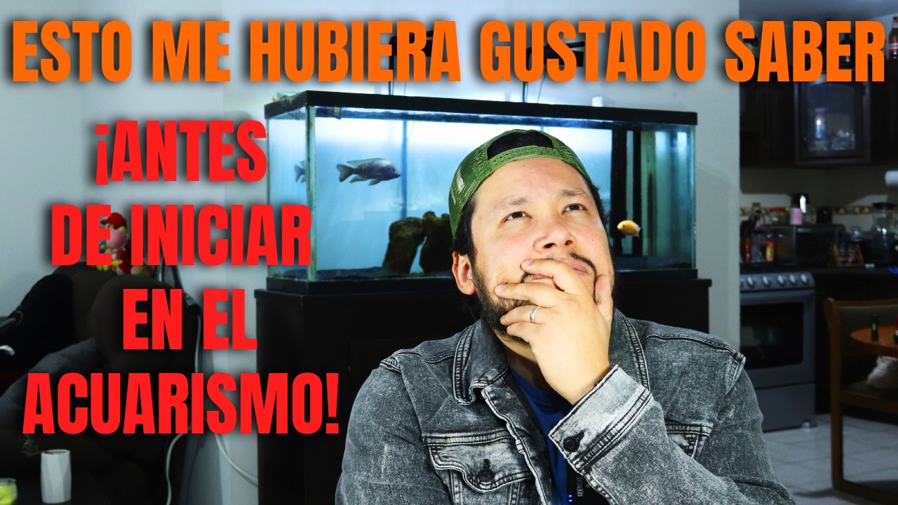 Las Cosas Que No Te Dirán Antes De Empezar En El Acuarismo
