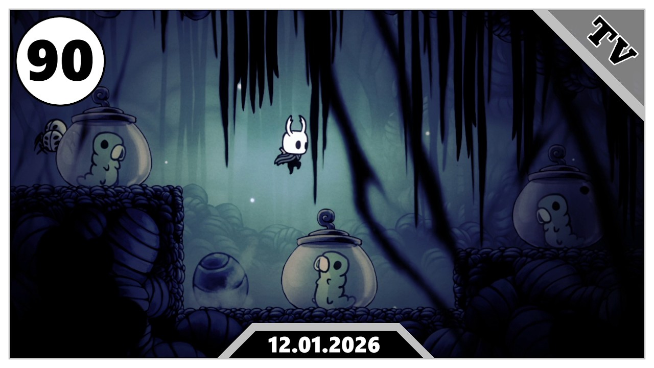 Das Raupenratespiel 🪡 Hollow Knight [090]