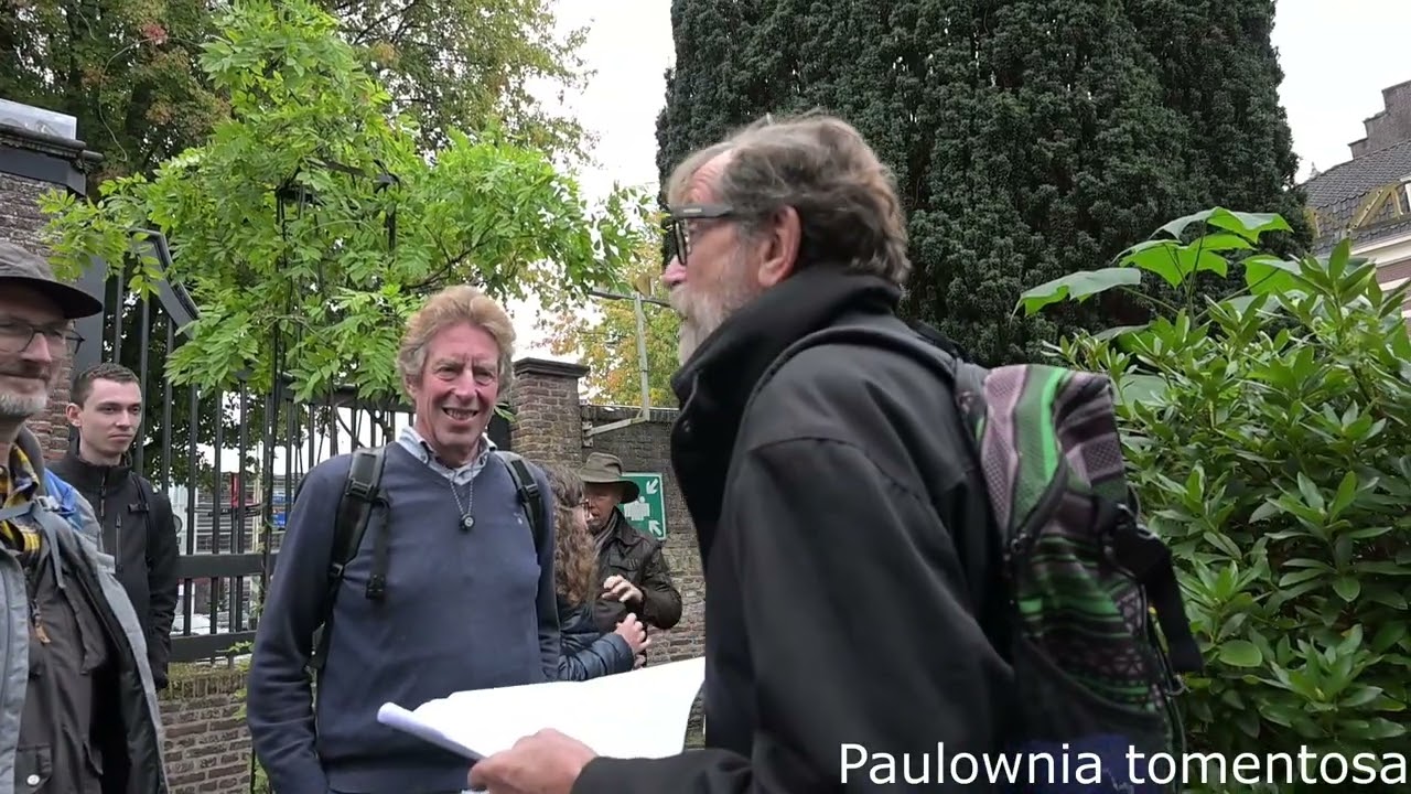 Bijzondere bomen op de stadswal van Amersfoort  - Leergang van Cees van der Linden