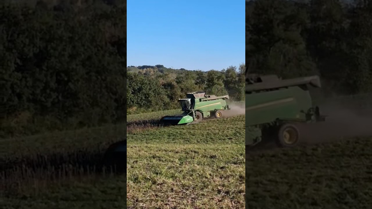 Moisson de tournesols 2025 avec une 