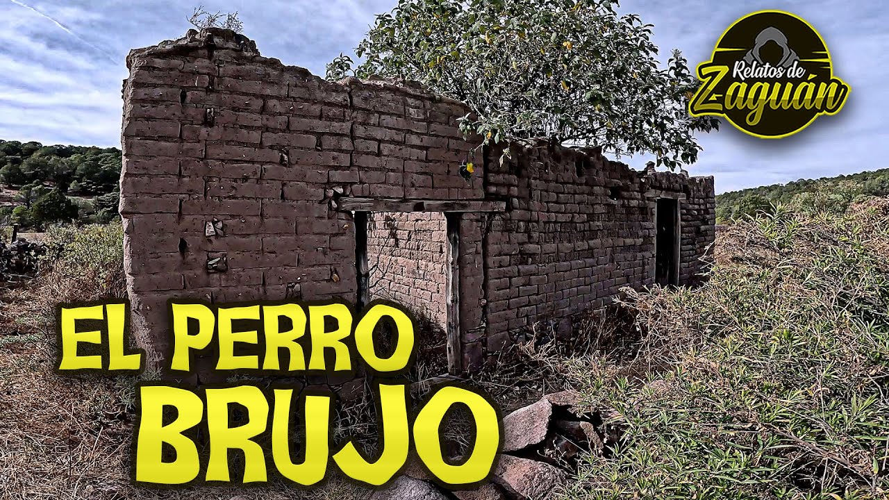 EL PERRO ERA UN BRUJO, estaba COMO LOCO !!