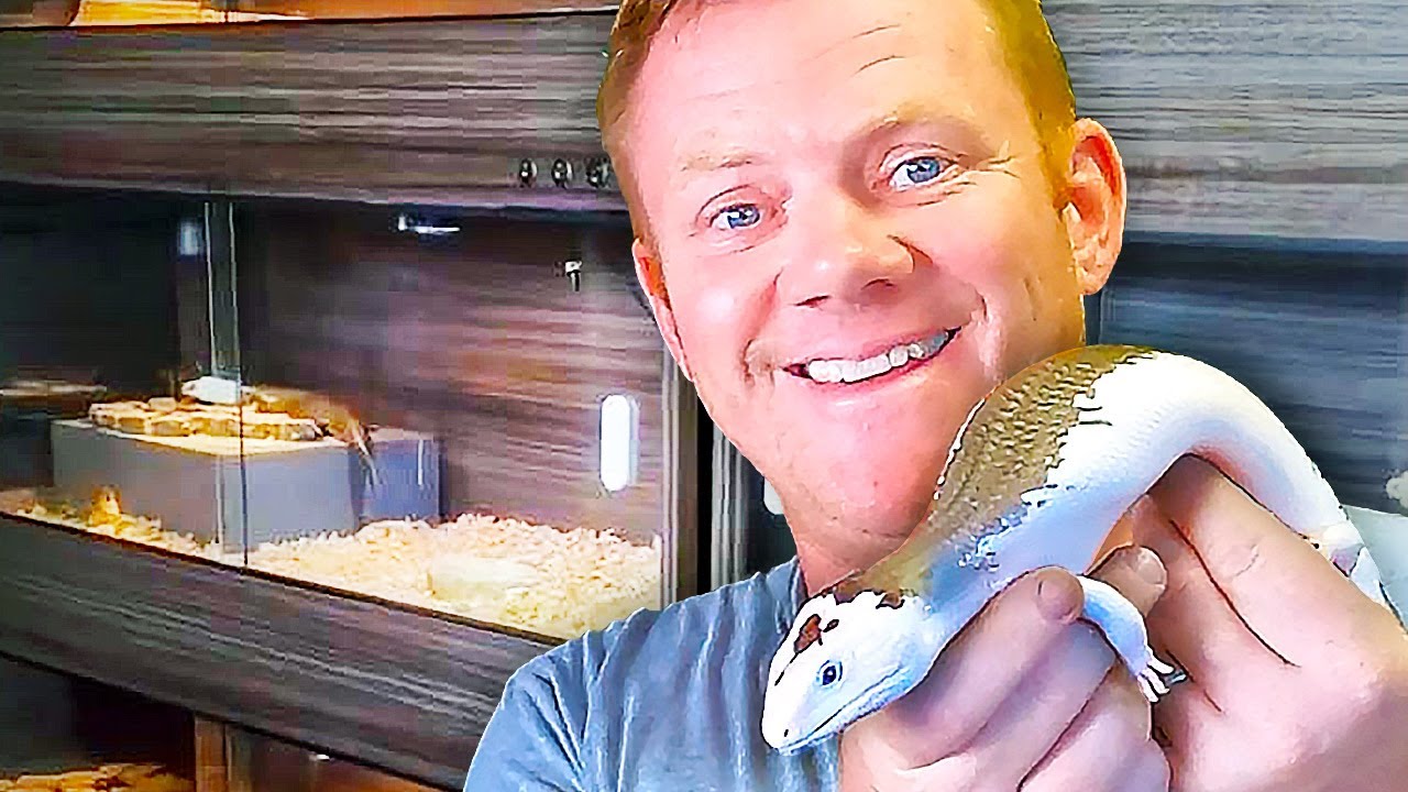 BEST Tips for Indoor Bluetongue Care with Joe Ball