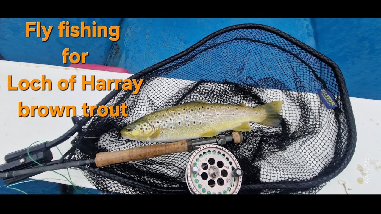 Flyfishing for wild brown trout in Orkney's Loch of Harray #fishing #browntroutfishing #troutfishing