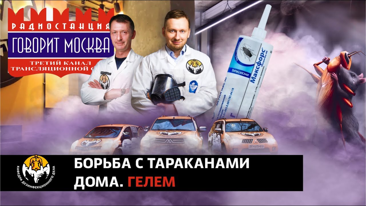 Борьба с тараканами дома. Гелем. Легко и просто. Врач рассказал секрет в эфире радио