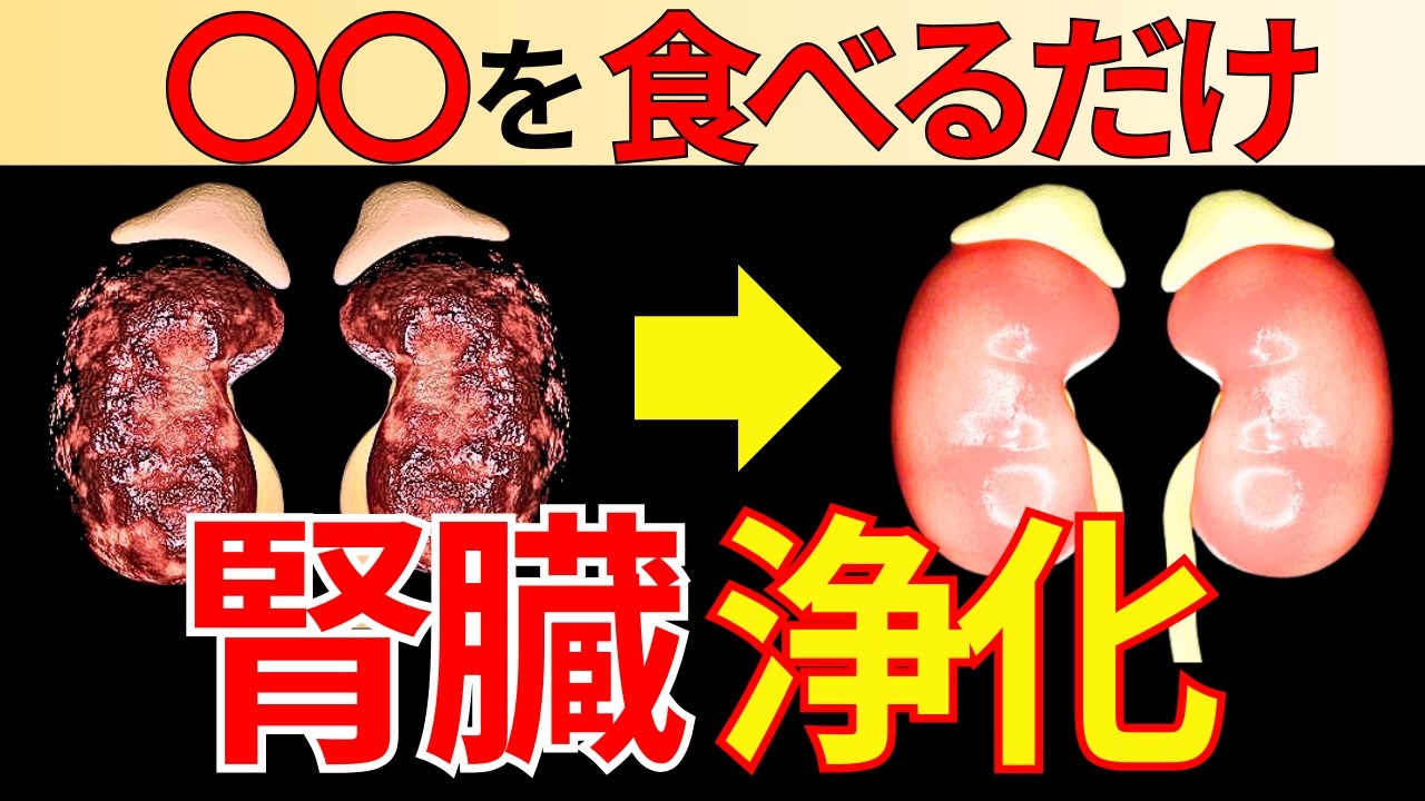 【知らないと損】腎臓を守るための最高の食事法6選【腎機能改善】