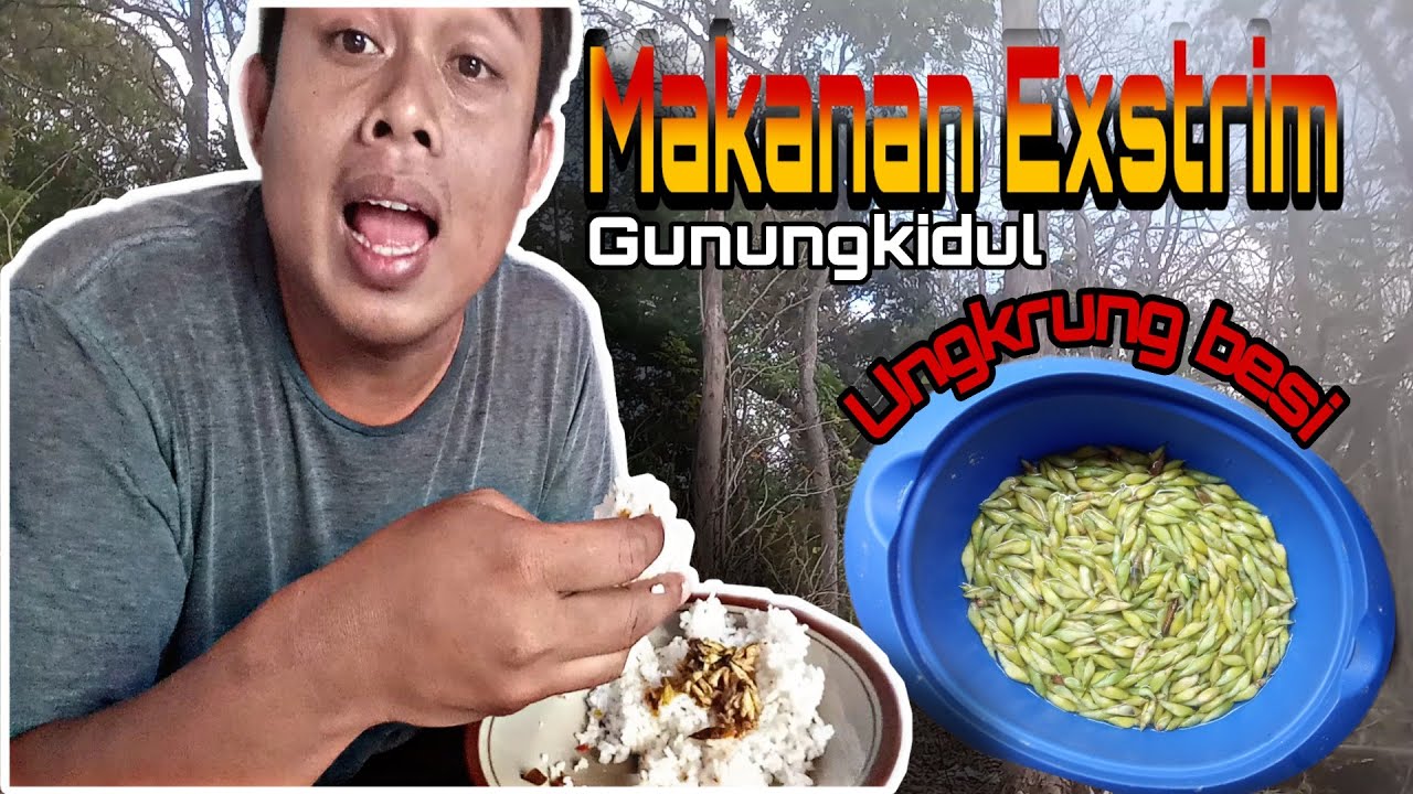 MAKANAN DESA||KULINER EKSTRIM (UNGKRUNG BESI)