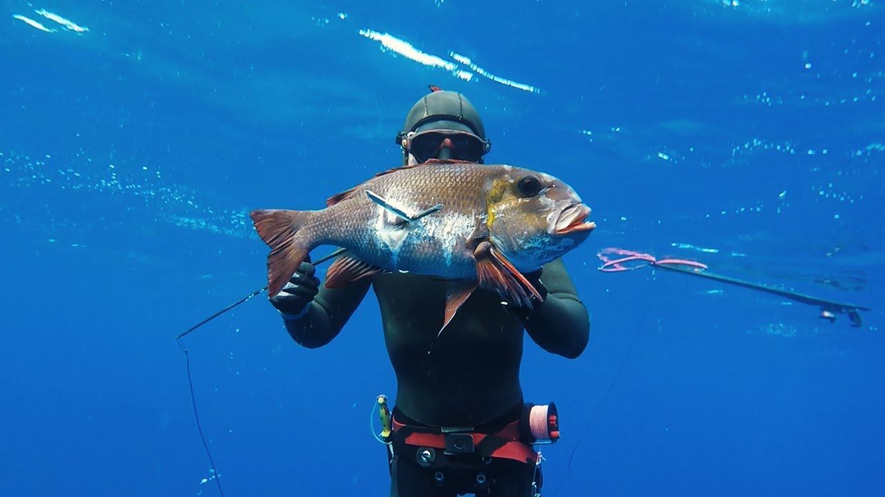 Spearfishing The Kingdom of Tonga - Reef fish!