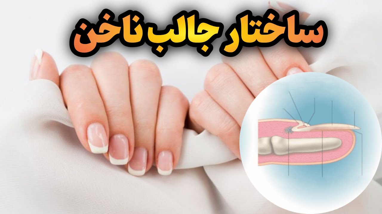 رشد ناخن&zwnj;ها | رازهایی که باید در مورد ناخن ها بدانید!