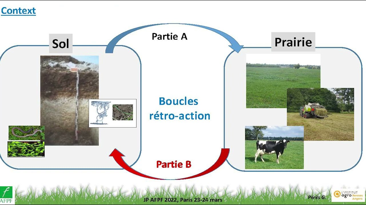 Qualité des sols et pérennité des prairies : un cercle vertueux – Guenola Peres (INRAE)