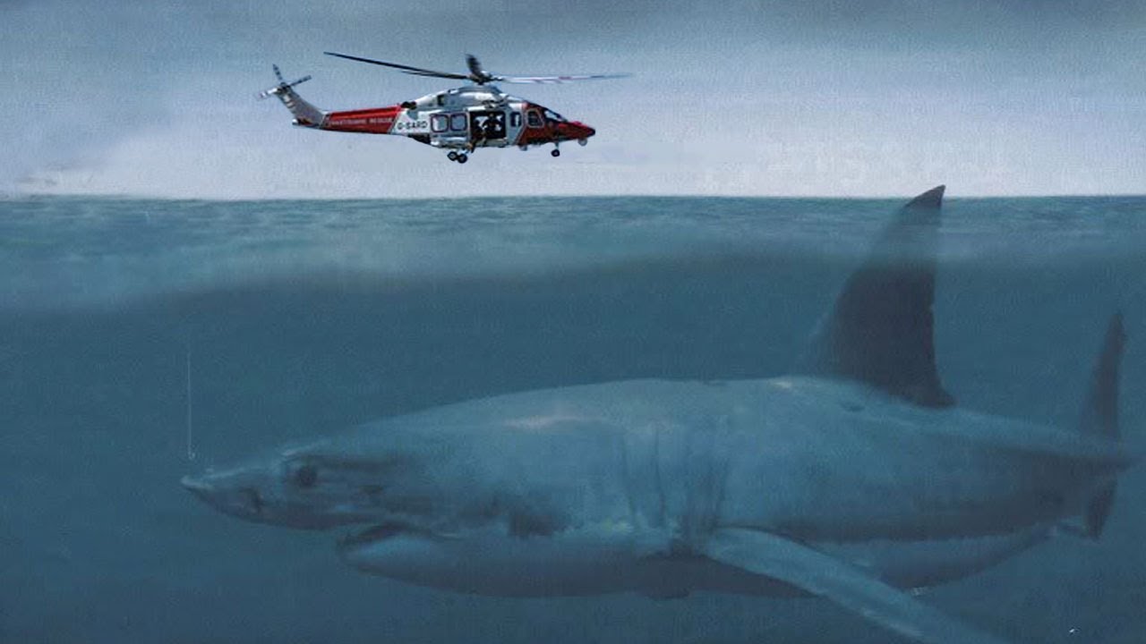 LIVING MEGALODON CAUGHT ON CAMERA BY BRAZIL COASTGUARD - real or fake?