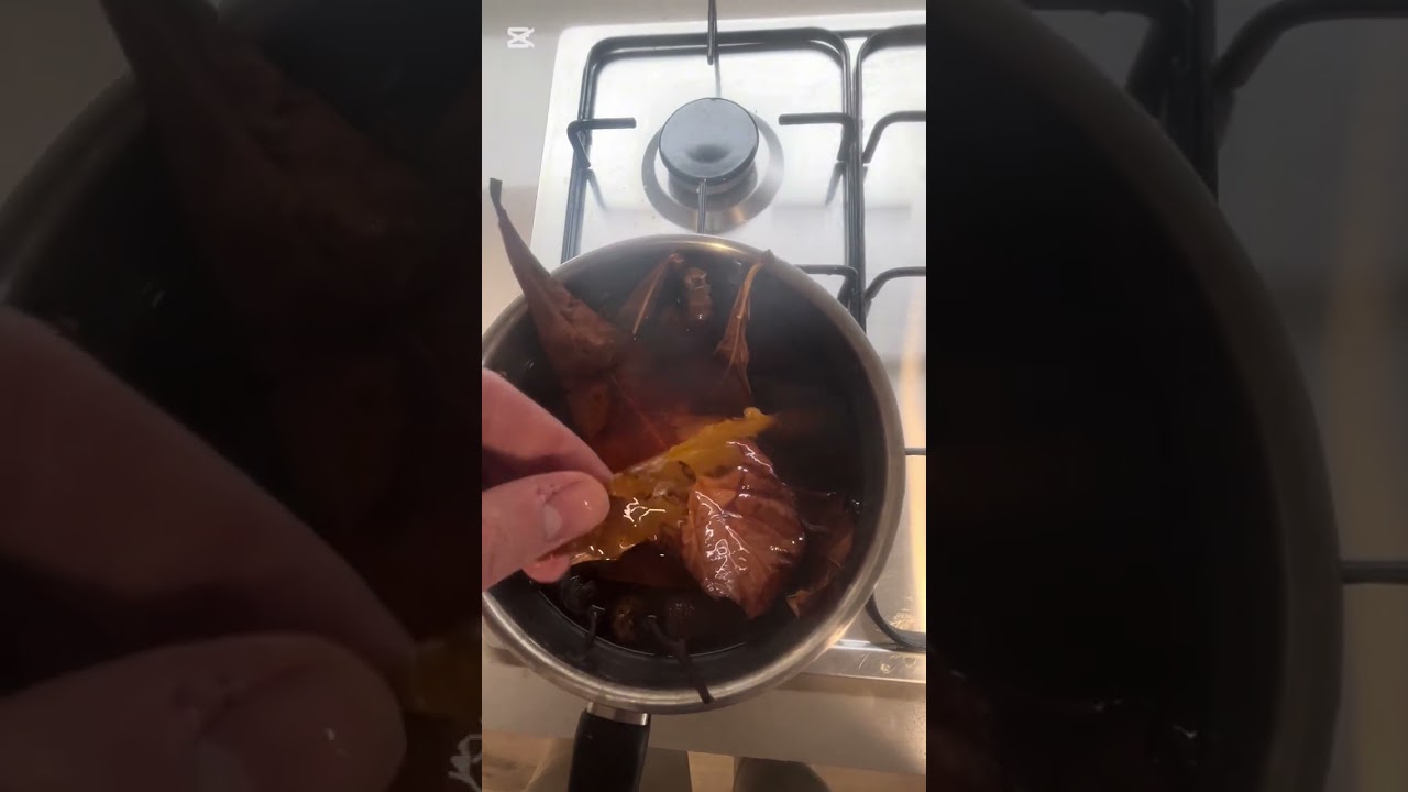How I Make Blackwater for Bee Shrimp Tanks (Rich in Humic & Fulvic Acid) | CSA Method