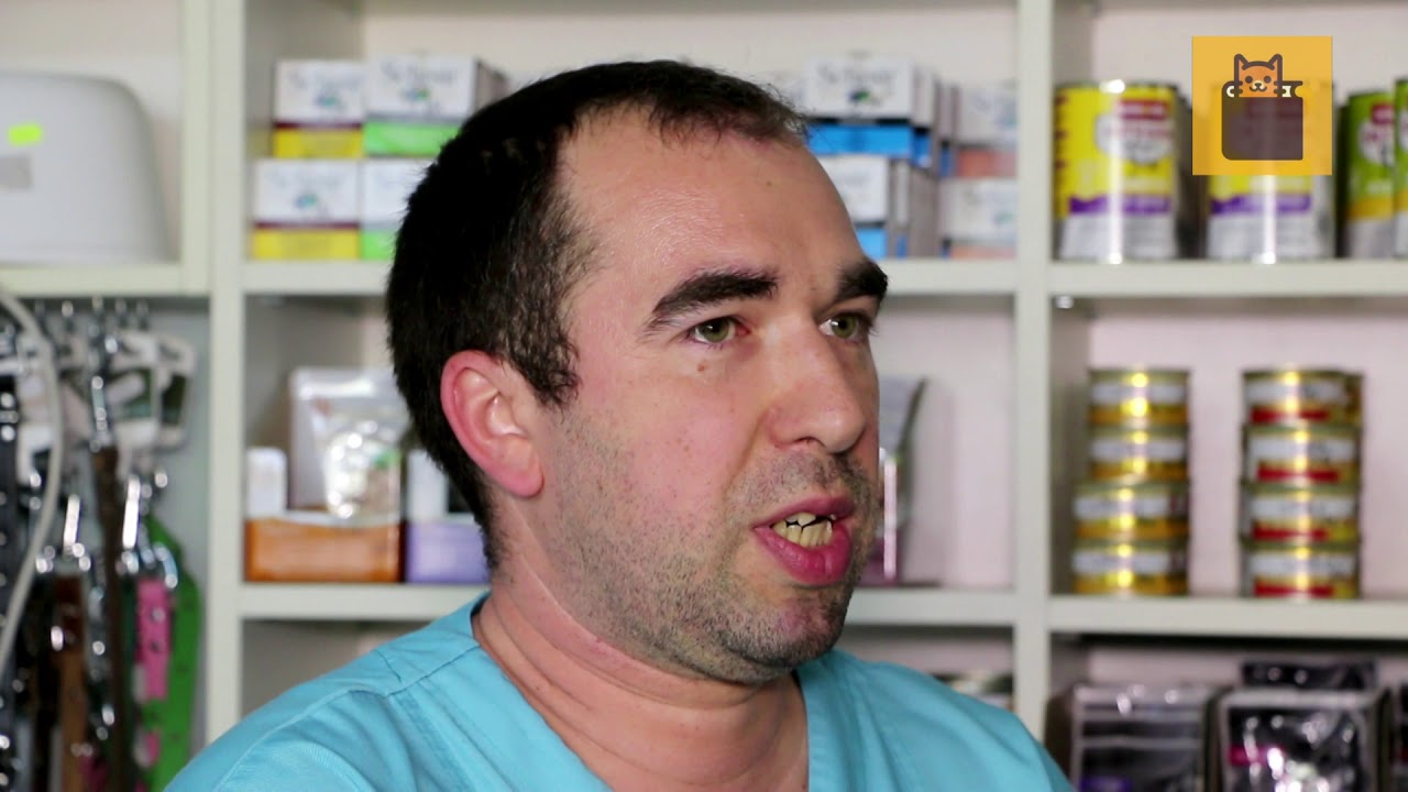 EduCAT (episodul 4) - Ce este coronavirus? Cate fac peritonita infectioasa? Cat de letal este PIF?