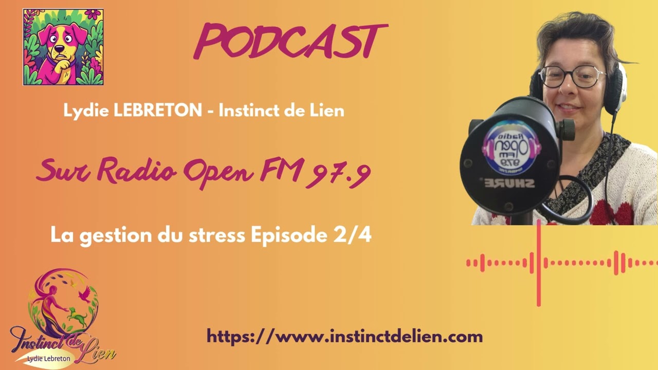 Stress Canin : Mieux le Comprendre - Podcast#2