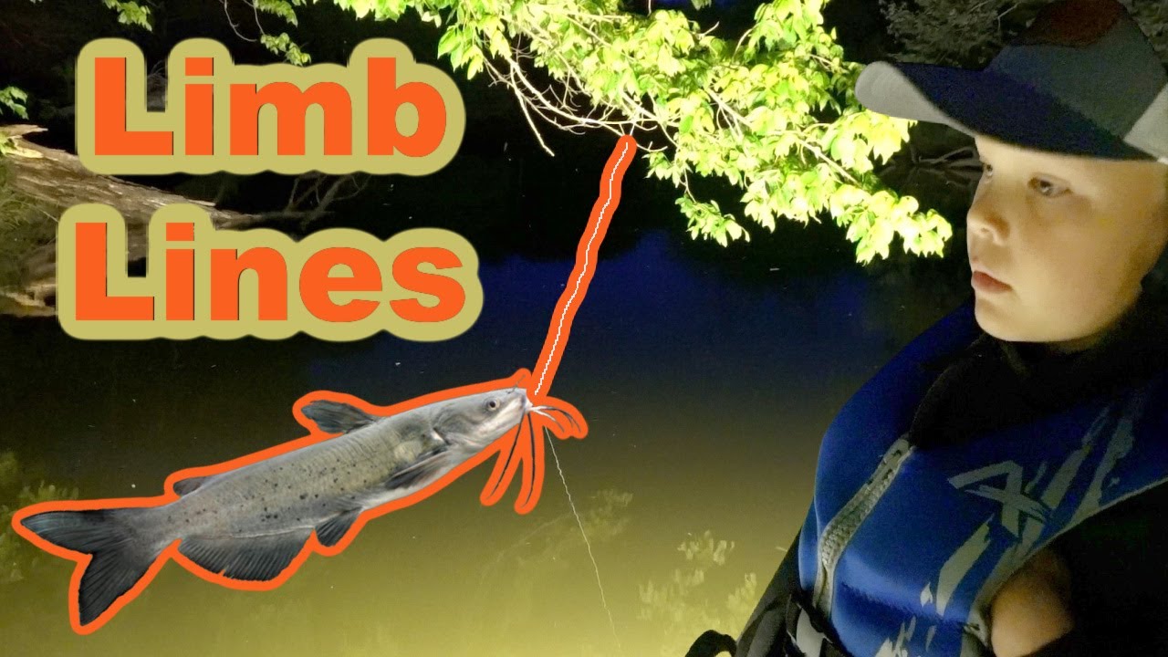 How to Catch Catfish on Limb Lines {Catch, Clean, and Cook}