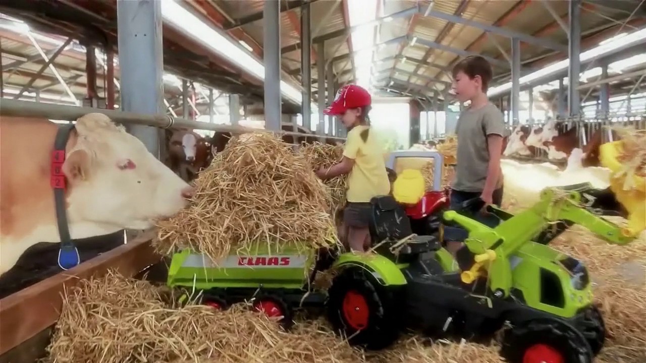 Rolly Toys - Emotion, Action & Fun