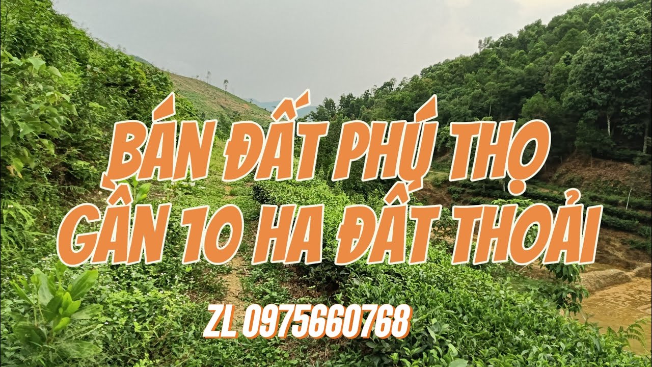 Cần bán gấp đất  phú thọ gần 10ha đất đồi thoải.đường xe công vào tận đất 