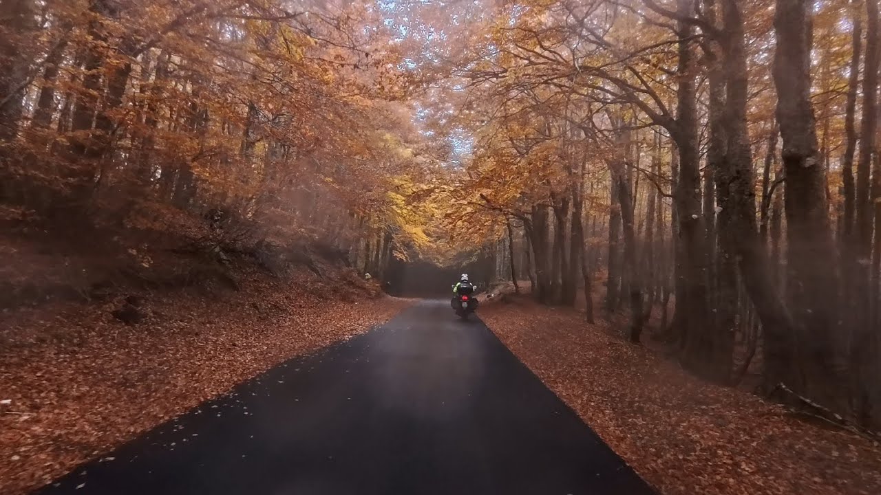 orsobruno in Calabria - aspromonte, Roghudi vecchio, Bova
