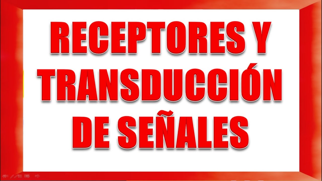 RECEPTORES Y TRANSDUCCIÓN DE SEÑALES