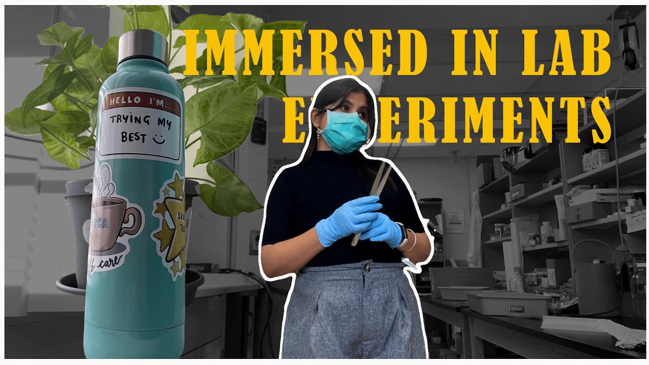 A week in my life as a PhD Student | Environmental Engineering
