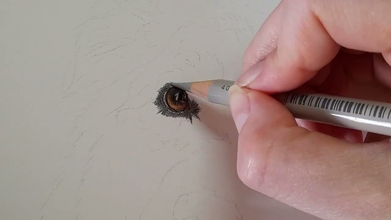 How to Draw a Realistic Dog in Colour Pencils | Real Time Tutorial | Part 1 The Eyes