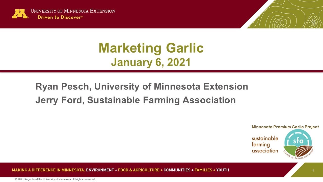 Marketing Garlic