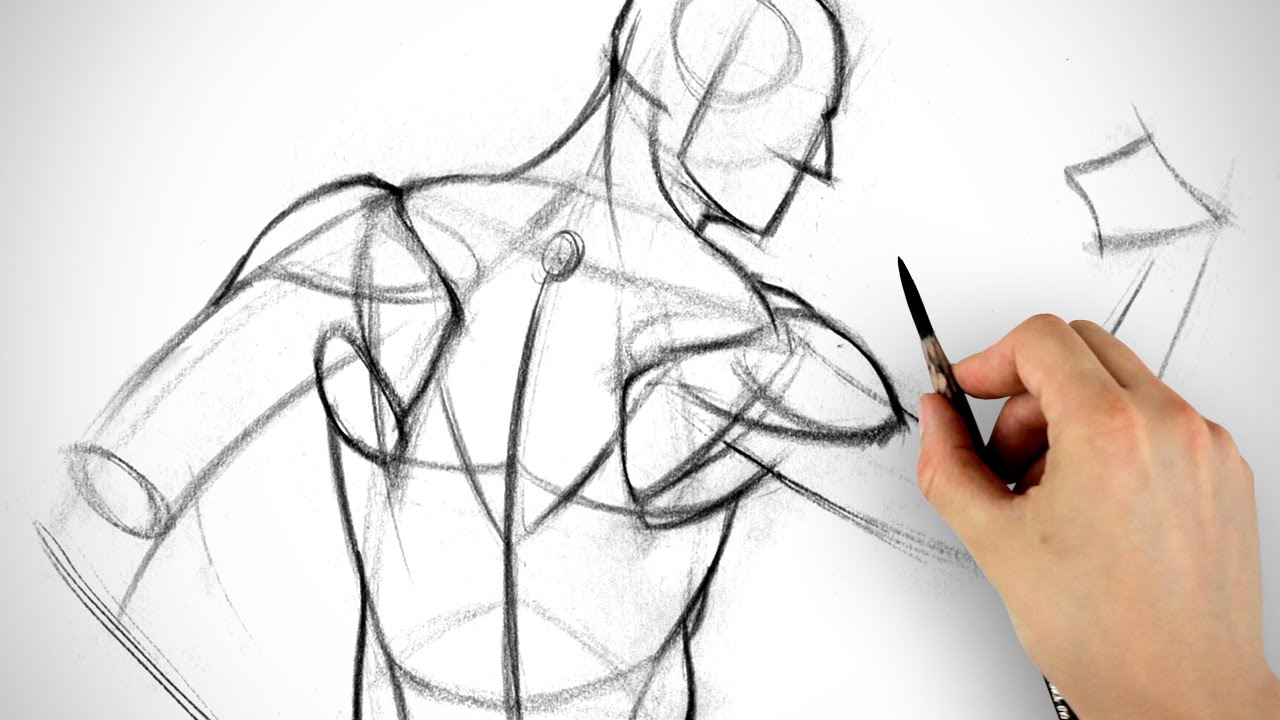 Inventing the Shoulder Muscles