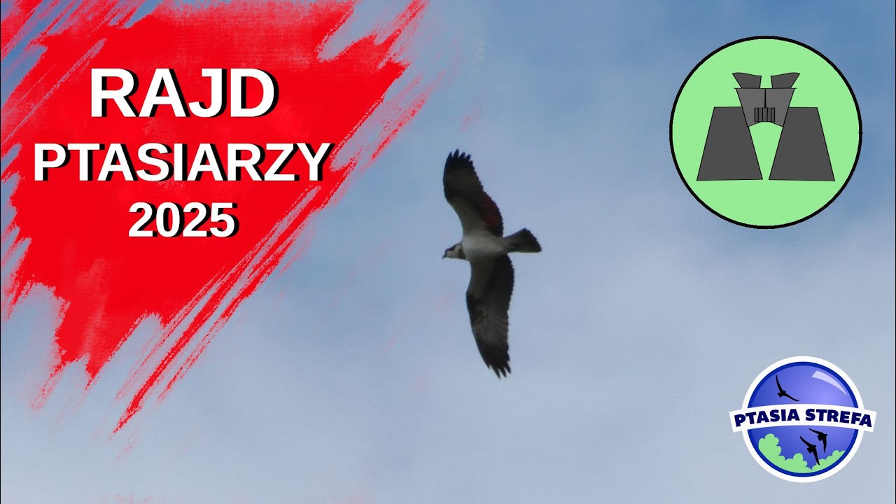 RAJD PTASIARZY 2025