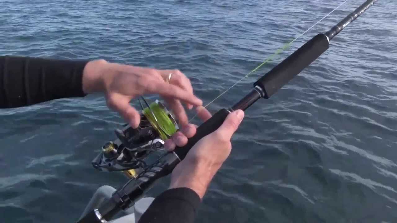 SHIMANO FISHING NZ - TOP WATER KINGFISH