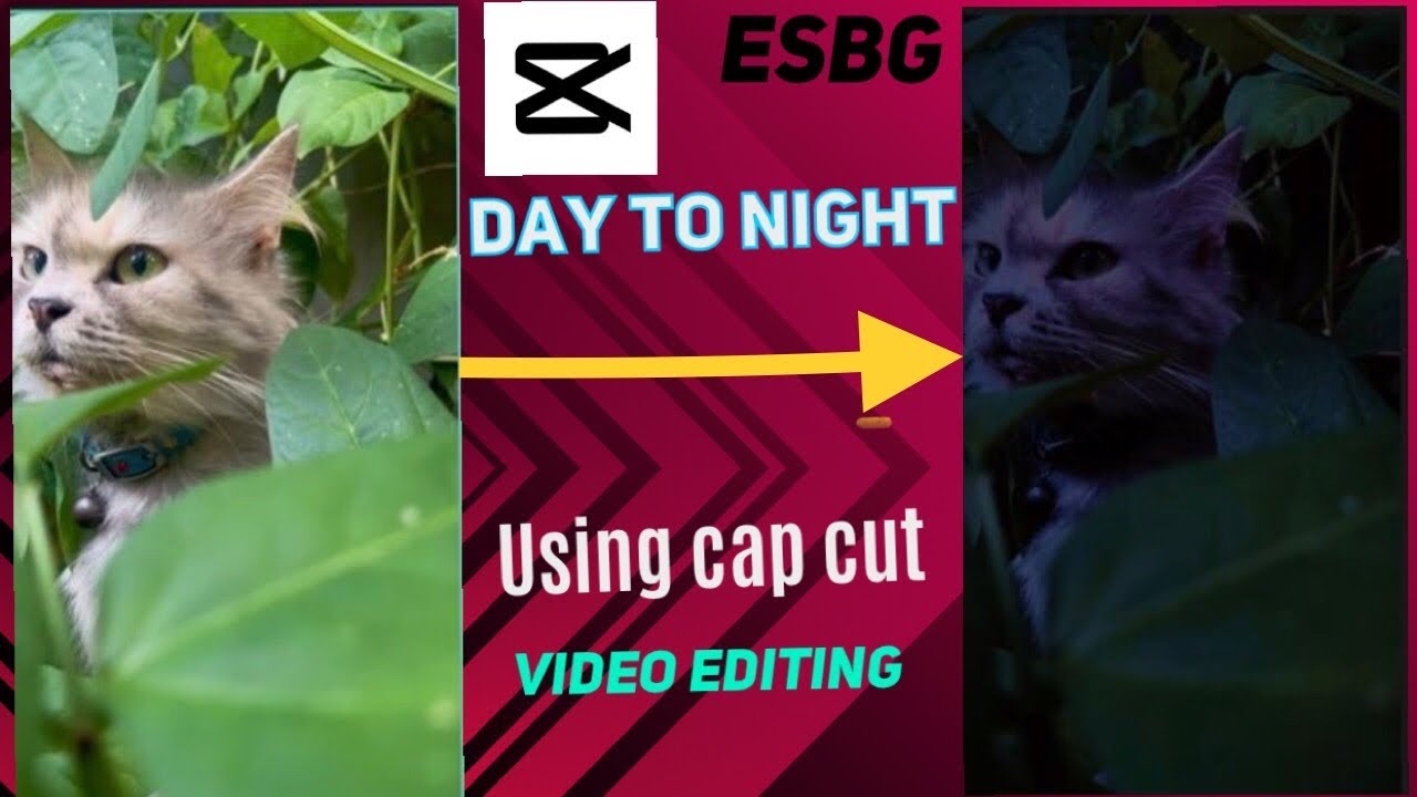 How to change day to night effect in cap cut.@ABDs-ESBG