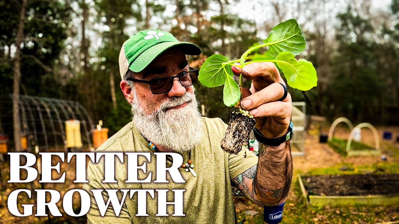 Я посадил растения таким образом, и они выросли намного лучше.