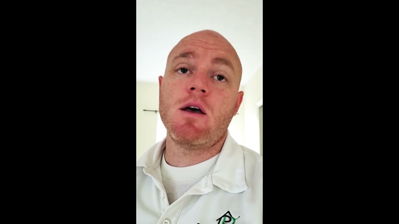 Bed Bugs at an Air BNB. Learn what to look for!!