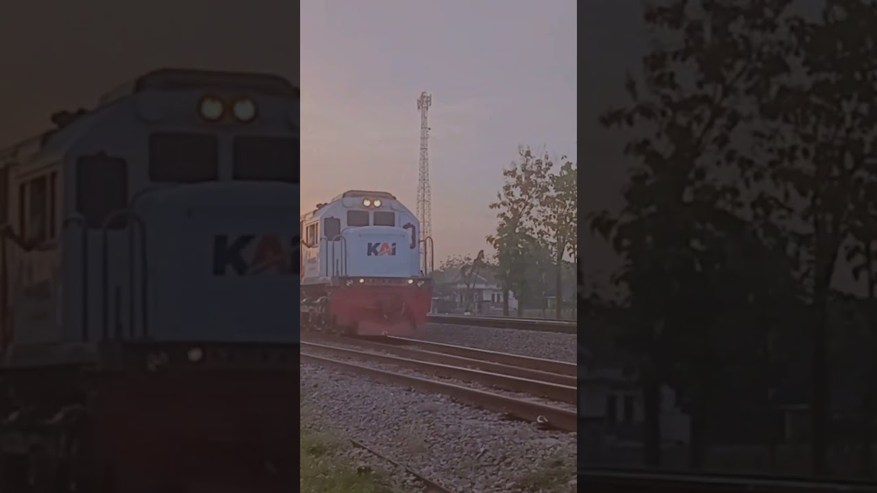 KA Darmawangsa loko CC201 melintasi Stasiun Wadu #shorts #wadu #kai #railfans #kai