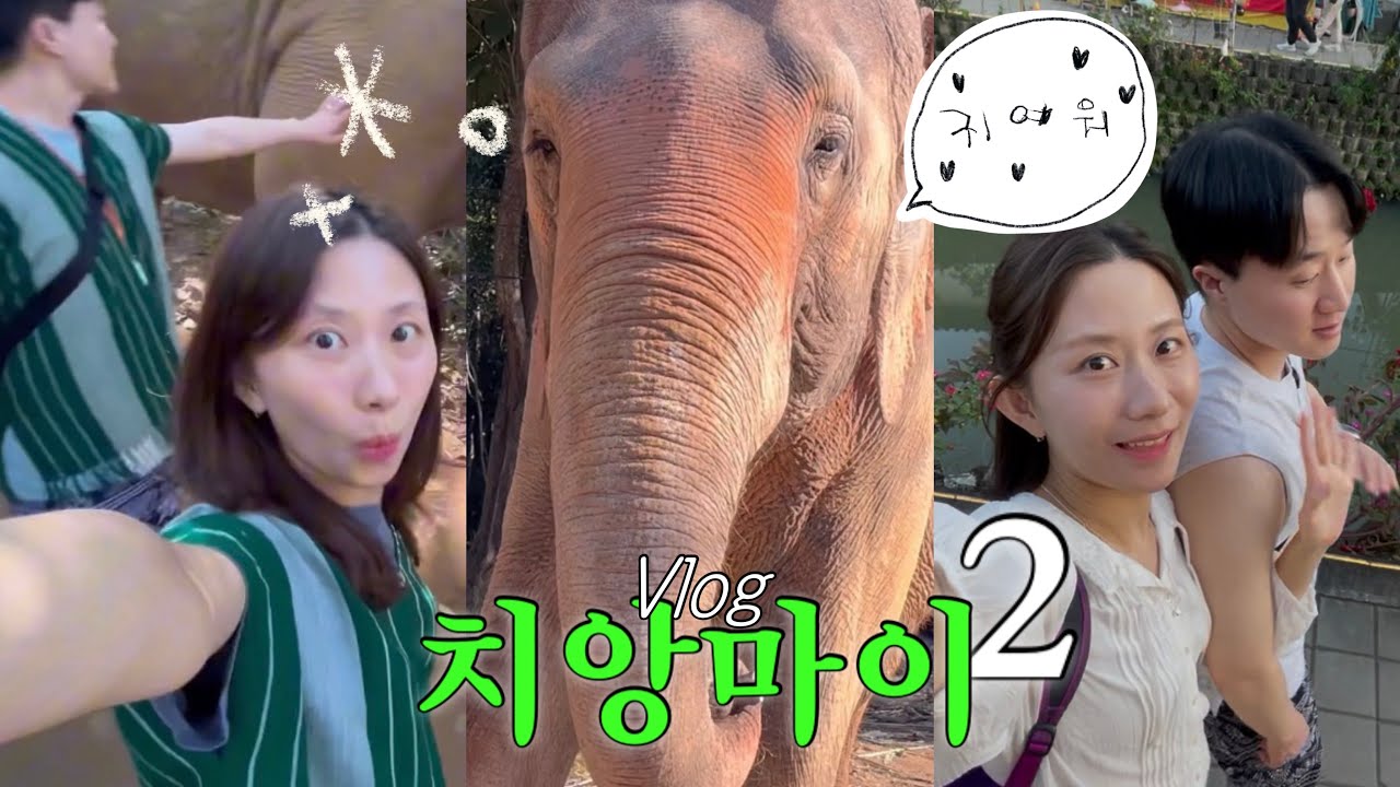 치앙마이 여행브이로그2🇹🇭| 코끼리 투어 어디서 할까?🐘(찡짜이마켓,마야몰,카오소이매싸이,코끼리투어,쌀국수맛집)