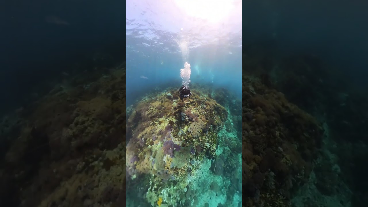 Underwater drone! #dji #drone #gopro #insta360